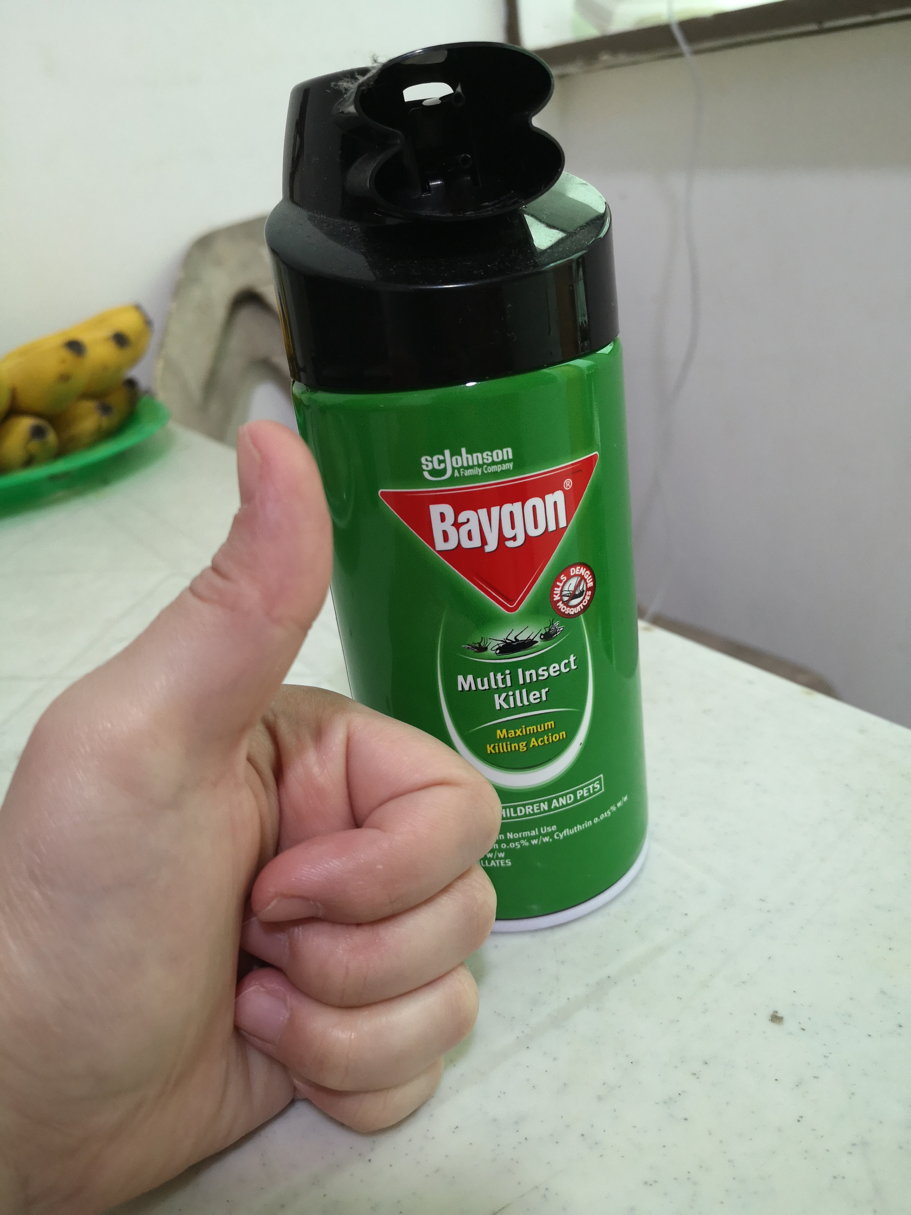 Baygon protector multi-insect killer by Baygon : review - Pest control ...